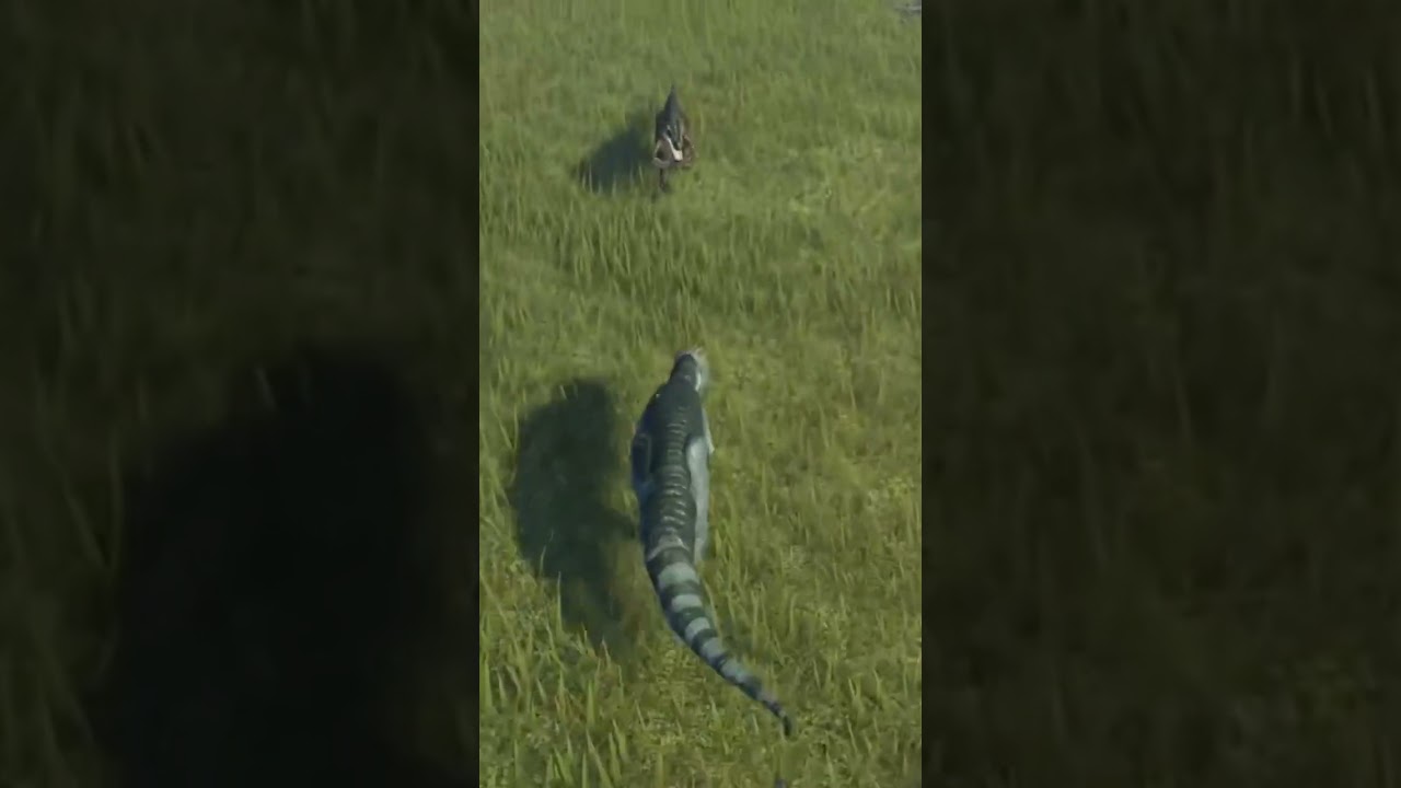 Fallen ashes showcase of Pachycephalosaurus 