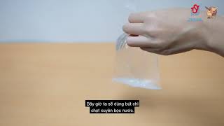 THÍ NGHIỆM KHOA HỌC VUI| TẬP 1: BÚT CHÌ XUYÊN NƯỚC screenshot 5