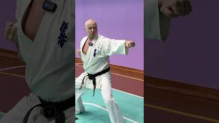 Кёкусинкай #962 / Пинан соно ни с кратким разбором (28.12.25)