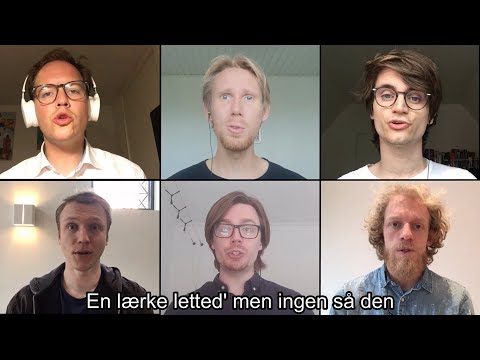 Video: Ligegyldighedens Magt