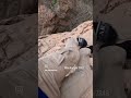 اگه این آدم میگفتی خودم می خریدم وضعتان چونه تبلیغ کرد ترسناک کوه خدا میلاد اگه این آدم میگفتی خودم می خریدم وضعتان چونه تبلیغ کرد ترسناک کوه خدا میلاد