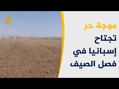 فيديو: التأثيرات على المناخ المحلي - ما الذي يسبب المناخ المحلي في المناظر الطبيعية