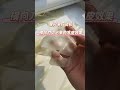 客户来厂试机,横向刀切出来的凉皮,客户很满意,薄厚宽窄可调节