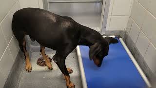 acs A678743