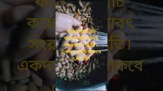 কাঁঠালের বিচি কয়েক মাস সংরক্ষণ পদ্ধতি। একদম সহজ #nature #lifeisbutadream #comedymusic #music