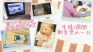 【生後1週間新生児の一日vlog】赤ちゃんのいる生活｜ルーティン｜育児便利グッズ