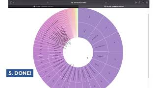 How to use "D3-Sunburst" flow | ZIPPYDOC Tutorials