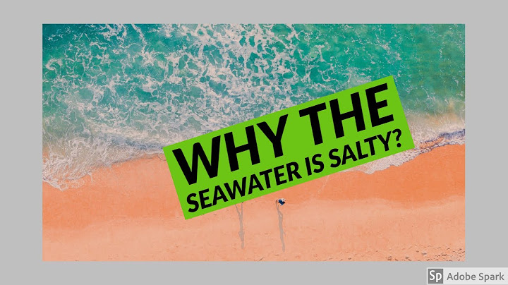 Sea water not only is much saltier sữa lỗi sai năm 2024