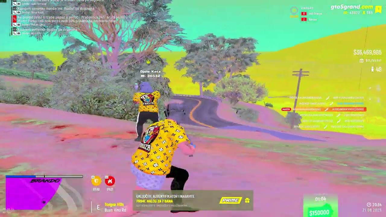 Djokica  i Brando na delu 2 vs 8