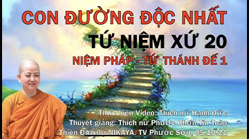 TỨ NIỆM XỨ 20 - Bốn Sự Thật 1 - Chơn Tín Toàn