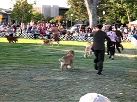 BOB, BOW BOS at grca national oct 2010