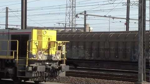 SEABRIDGE (ZEEBRUGGE) - THE TRAIN ROUTE IN THE COFFEE SUPPLY CHAIN FROM THE SHIP