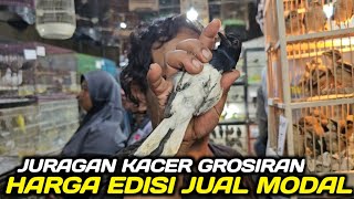 BUSYET ! SISA 150 EKOR KACER KIRIMAN KALIMANTAN DIJUAL HABIS HABISAN HARI INI DIKIOS PASAR PRAMUKA