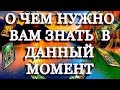 ОНЛАЙН ГАДАНИЕ / О ЧЕМ НУЖНО ВАМ ЗНАТЬ В ДАННЫЙ МОМЕНТ / ТАРО