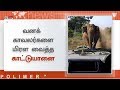 வனக் காவலர்களை மிரள வைத்த காட்டுயானை