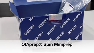 Protocol 8: Miniprep (QIAprep Spin Kit)