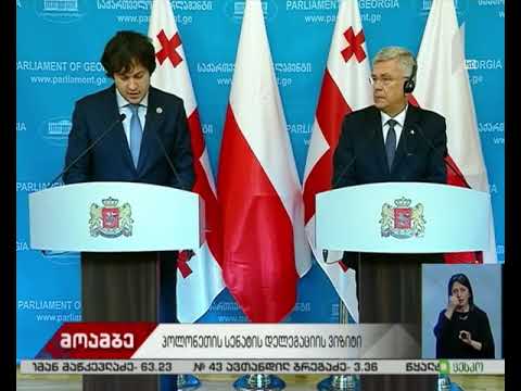 საქართველოს პარლამენტის თავმჯდომარე პოლონელ კოლეგას შეხვდა