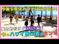 ハワイにとっては大問題！ハワイリピーターが減少傾向...その理由とは？【ハワイ最新情報】【ハワイ現状】【ハワイの今】【ハワイ旅行】【HAWAII】