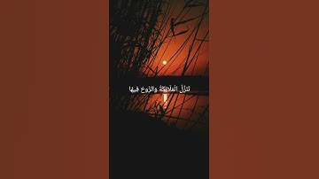 سورة القدر بصوت الشيخ ماهر المعيقلي