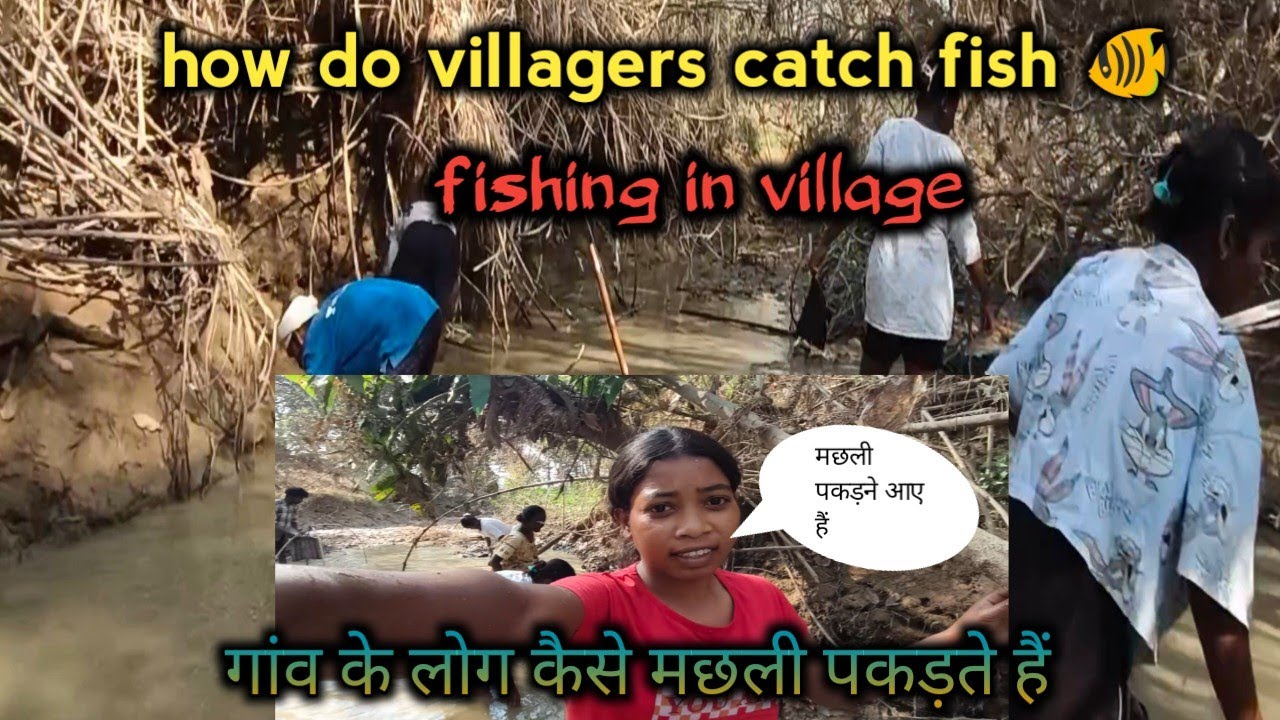 गांव में लोग मछली कैसे पकड़ते हैं, मछली पकड़ने के साथ हमने किया मस्ती 🤗✅#youtube#fishing#vlog#daily 