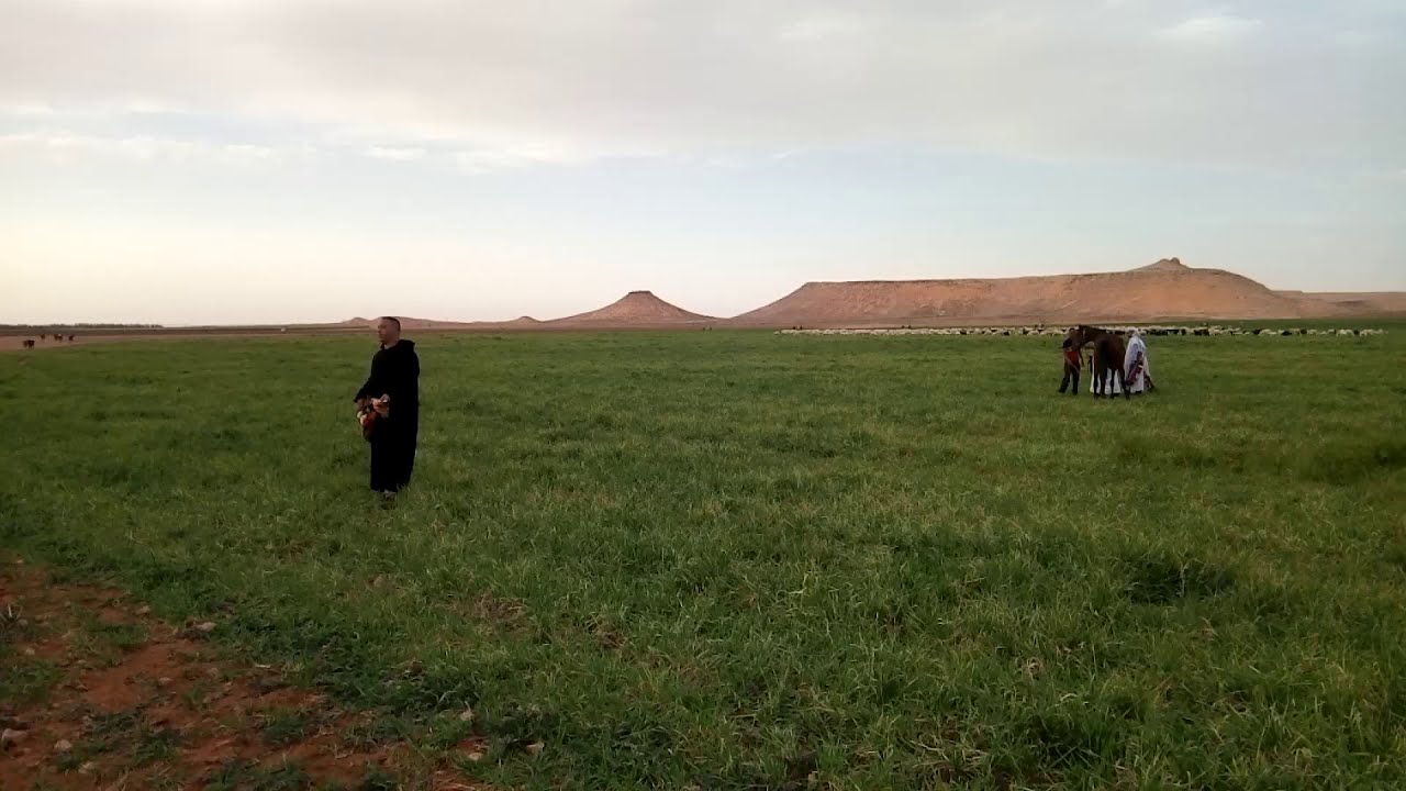 مزرعة بن حمودة