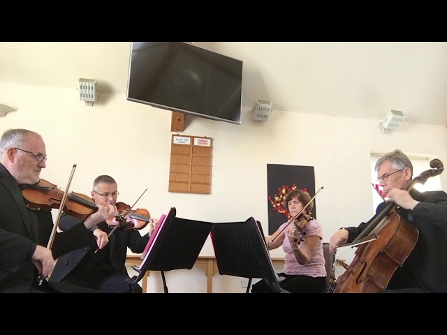 String Quartet - Paradise by Coldplay
