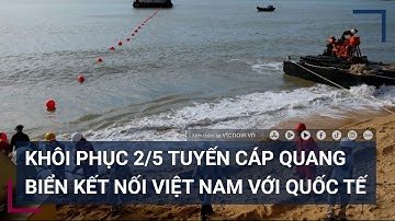 Người dùng internet sắp hết khó chịu khi 2/5 tuyến cáp quang biển đã được khôi phục | VTC Tin mới