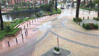 Sweet Glorious Rain in Cape Town! screenshot 5
