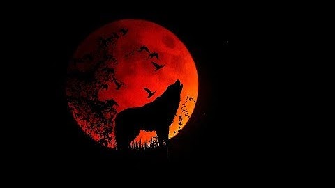 The End Times Explained ( clearing up confusion ) Jacob Prasch