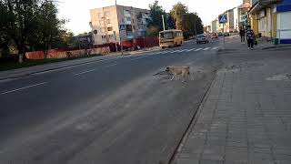 ПАЗ-32053-07 АС6603ВТ маршрутом 16
