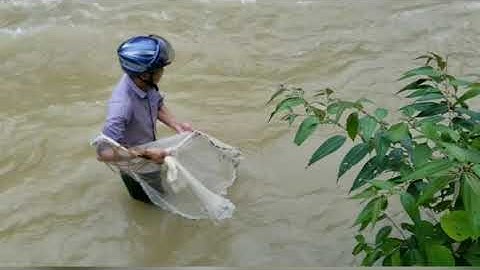 Quăng chài mùa lũ và cái kết..???