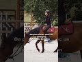 SAUTER DES BIDONS #cheval #equestrianjourney #equestrian #horse