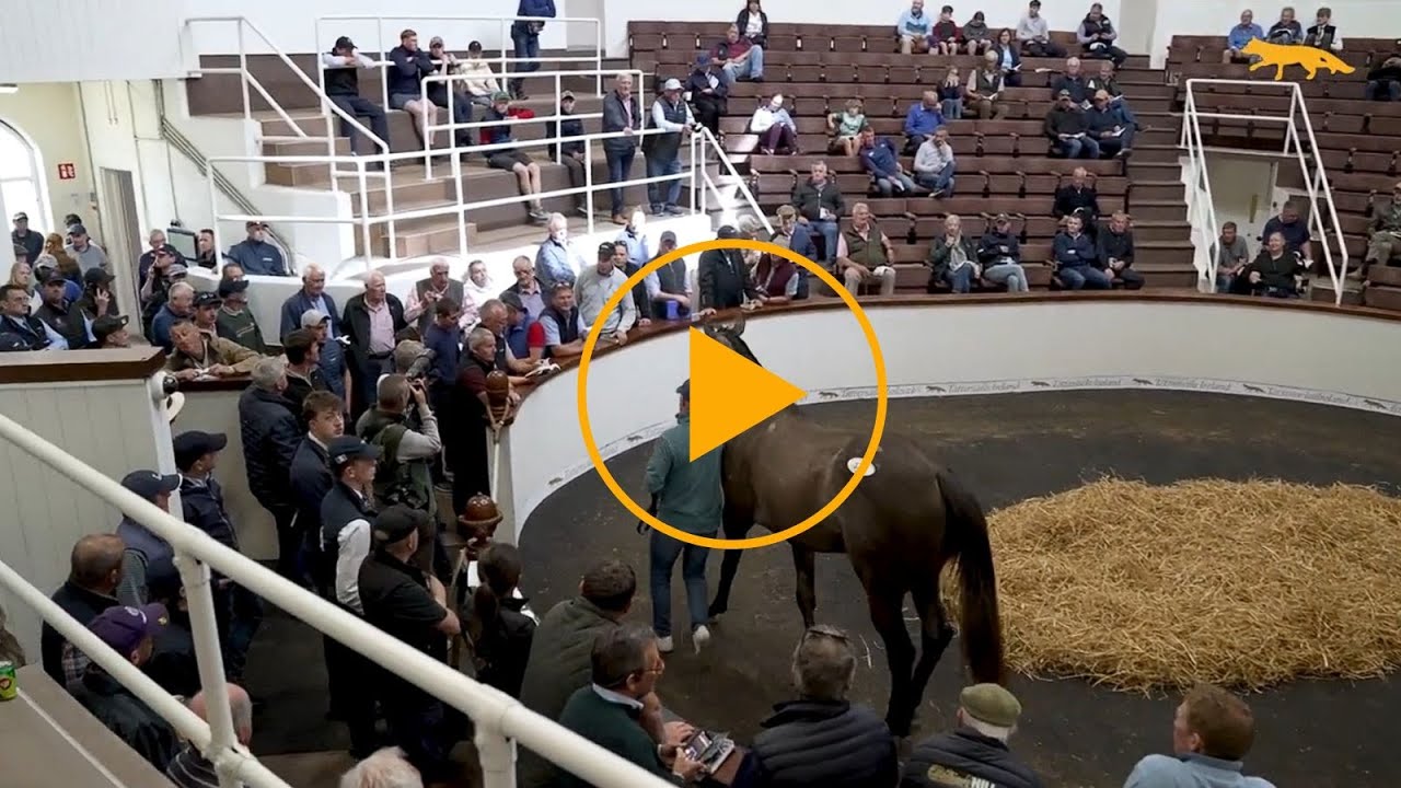 2025 Review: A Year Of Records, Milestones, and Graduate Success