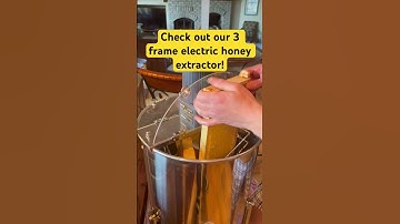 Starting our electric 3 frame honey extractor. #shorts #beekeeping #honey #bee #beekeeping