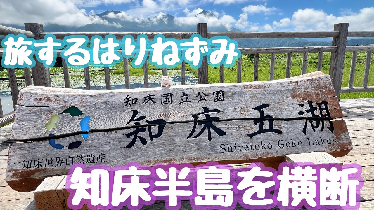 【北海道ひとり旅】知床半島の大自然を満喫、知床五湖を歩く