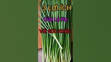 3 Lợi Ích Bất Ngờ Của Lá Hẹ Có Thể Bạn Chưa Biết #dinhduong #health #suckhoe