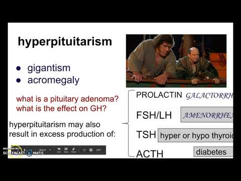 Video: Hyperpituitarisme: Behandling, årsager Og Diagnose