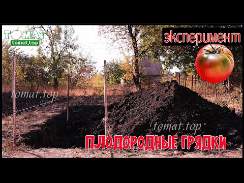 Плодородные грядки для томатов. Эксперимент. Выращивание томатов на экспериментальной грядке