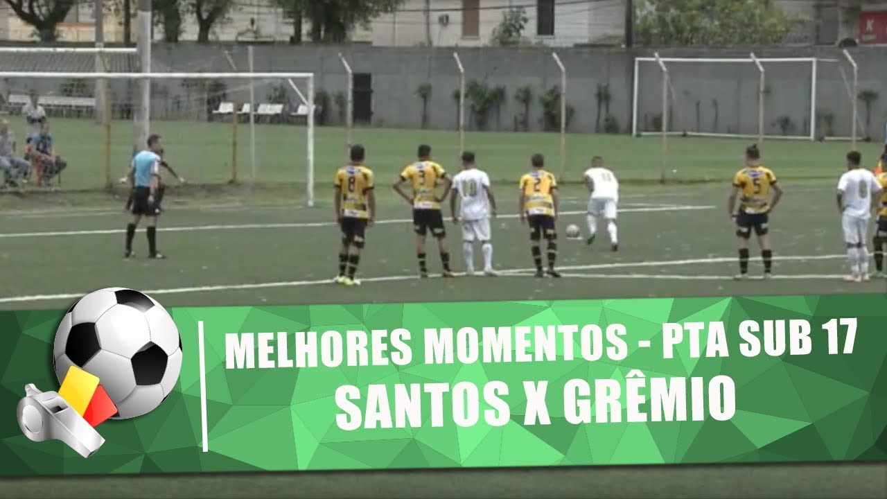 Melhores momentos de Santos x Grêmio Novorizontino ...