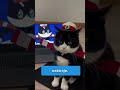 Co Kolor Sierści Kota Mówi O Jego Osobowości #shorts