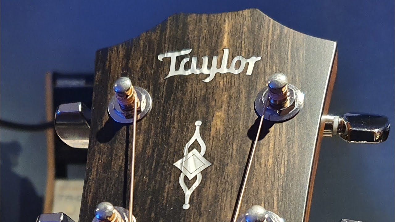 NEW Taylor 317e Grand Pacific V-Class Bracing Saple/Spruce