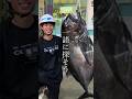 釣り人に捧げる応援歌　#巨大魚　#GT　#ロウニンアジ