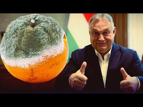 Orbán Viktor vért frissít: megfiatalított jelöltek, szolgaian szavazó bátorak, szégyenteljes árulók