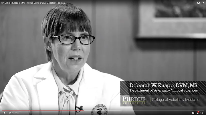 Dr. Debbie Knapp on the Werling Comparative Oncology Research Center