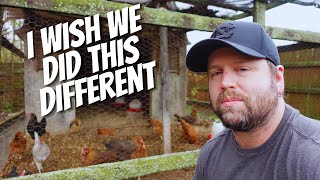 I Wish We Did This Differently | How Many Chickens Do You Need | Backyard Chickens 101