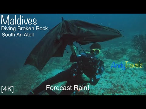 Maldives Diving Broken Rock