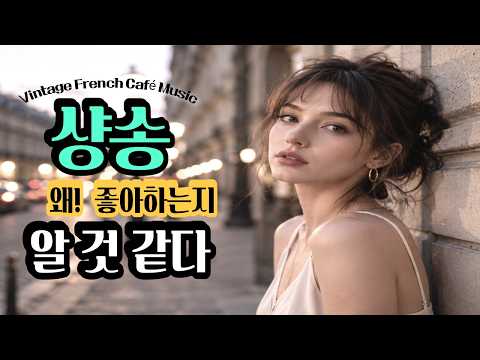 1970s Vintage Chanson  playlist｜ 조용히 혼자 듣고 싶은 샹송 플레이리스트 / Paris Café music