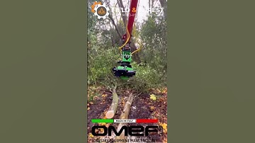 OMEF GRAPPLE SAW GS400 on an 8 ton excavator processing trees