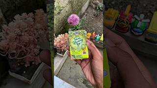 asmr ultra Mung Bean drink #asmr #shorts #shortvideo
