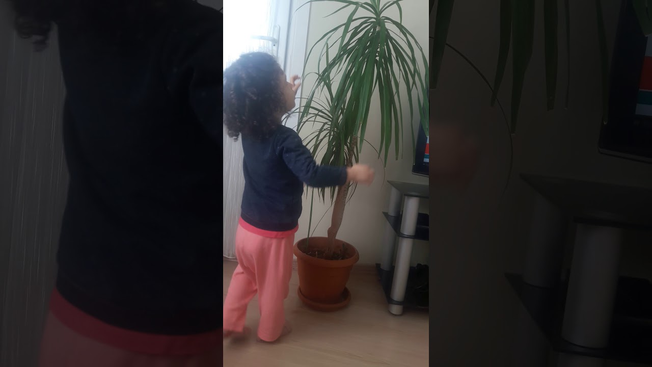 Çiçeklerle konuşan bebek YouTube